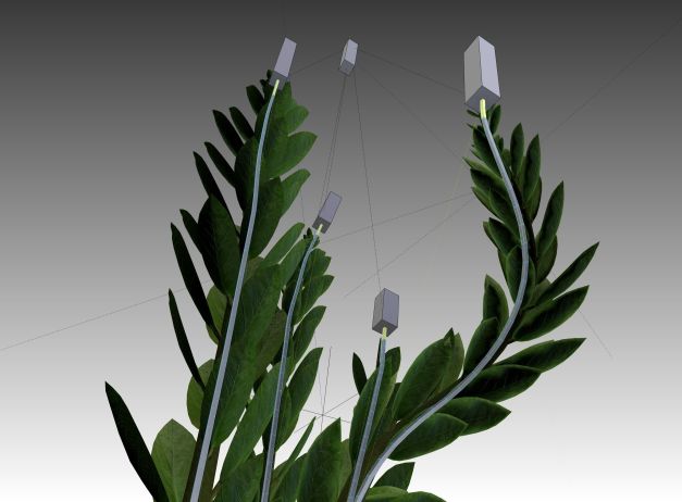 3d-model-indoor-plant-rigged-low-poly-jpg-15