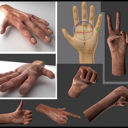 Rigged and Animated 3d Hand