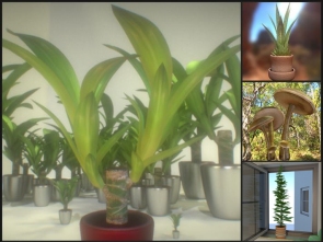 3d-models-plants